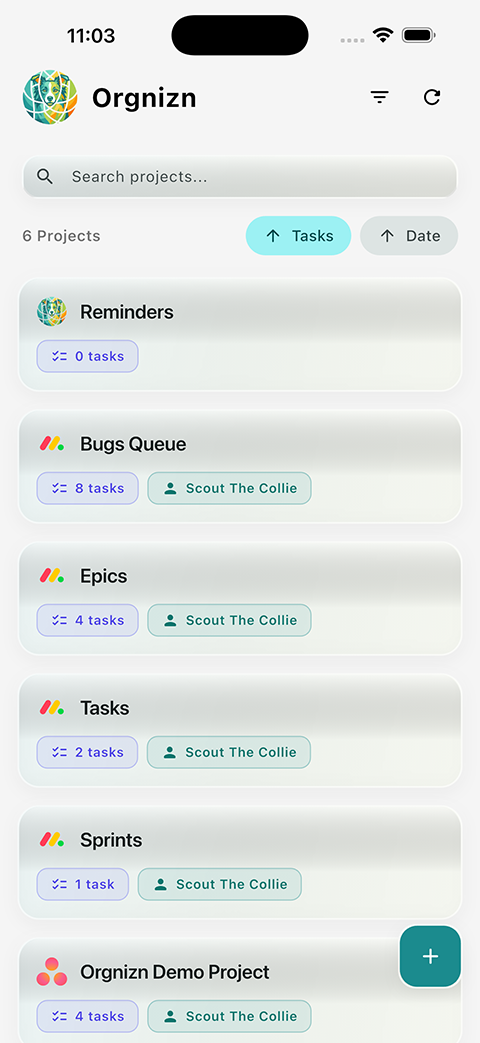 Orgnizn app on iPhone